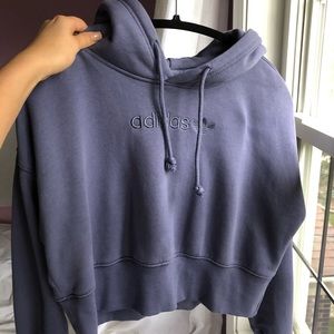 Blue Adidas cropped hoodie